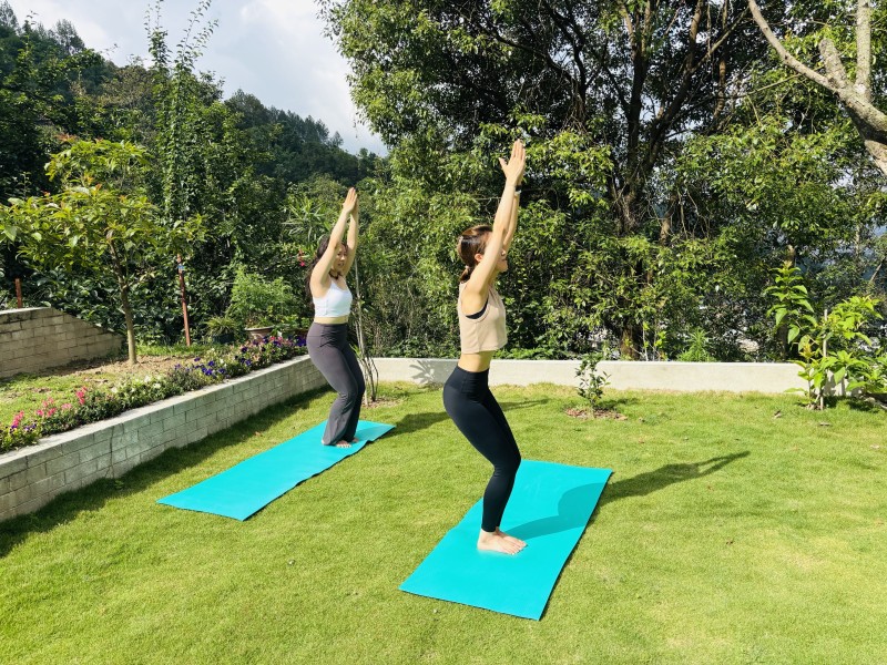 Introduction to Hatha Yoga